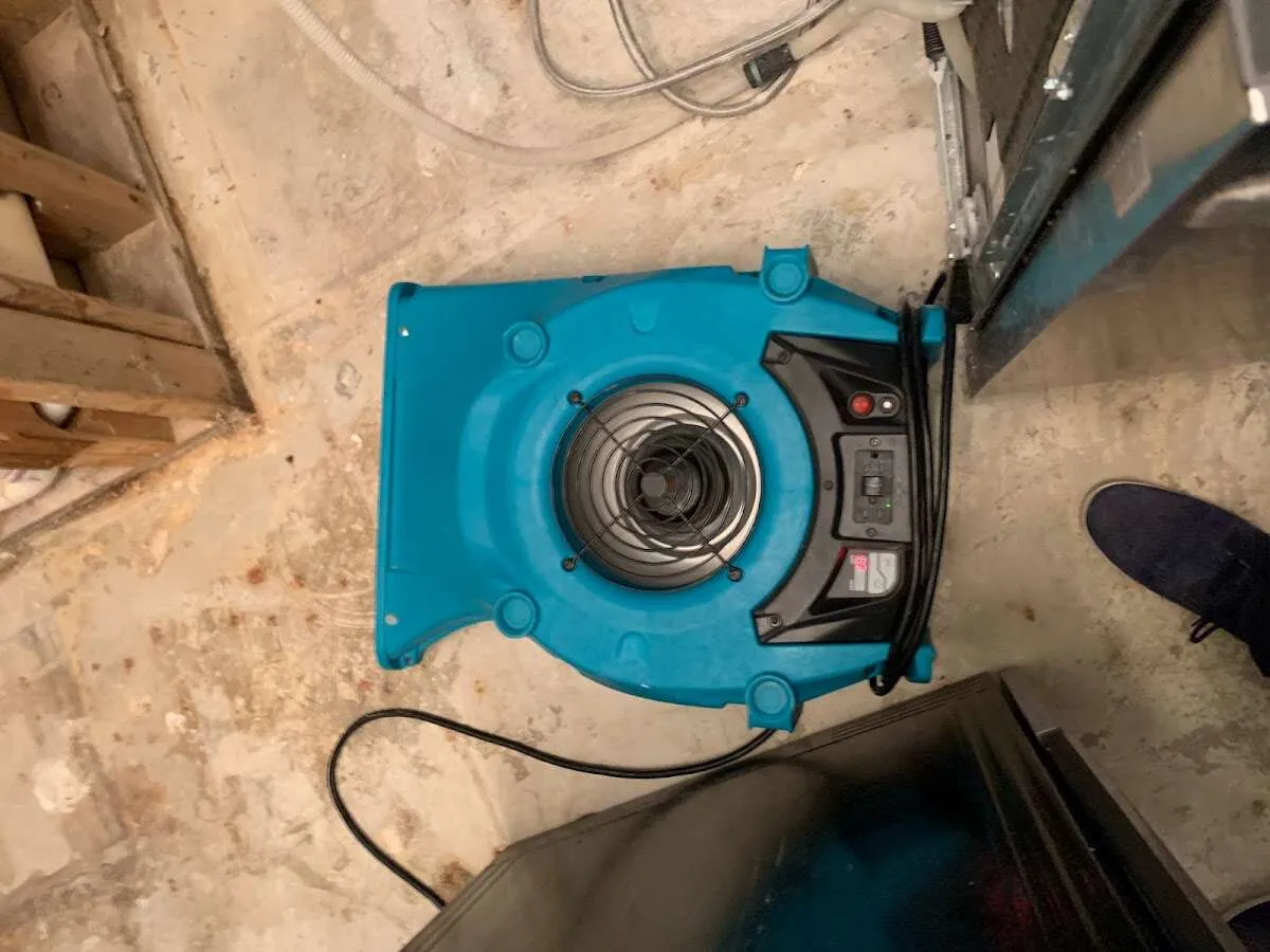 Air mover drying equipment for Mold Remediation & Removal in Litchfield