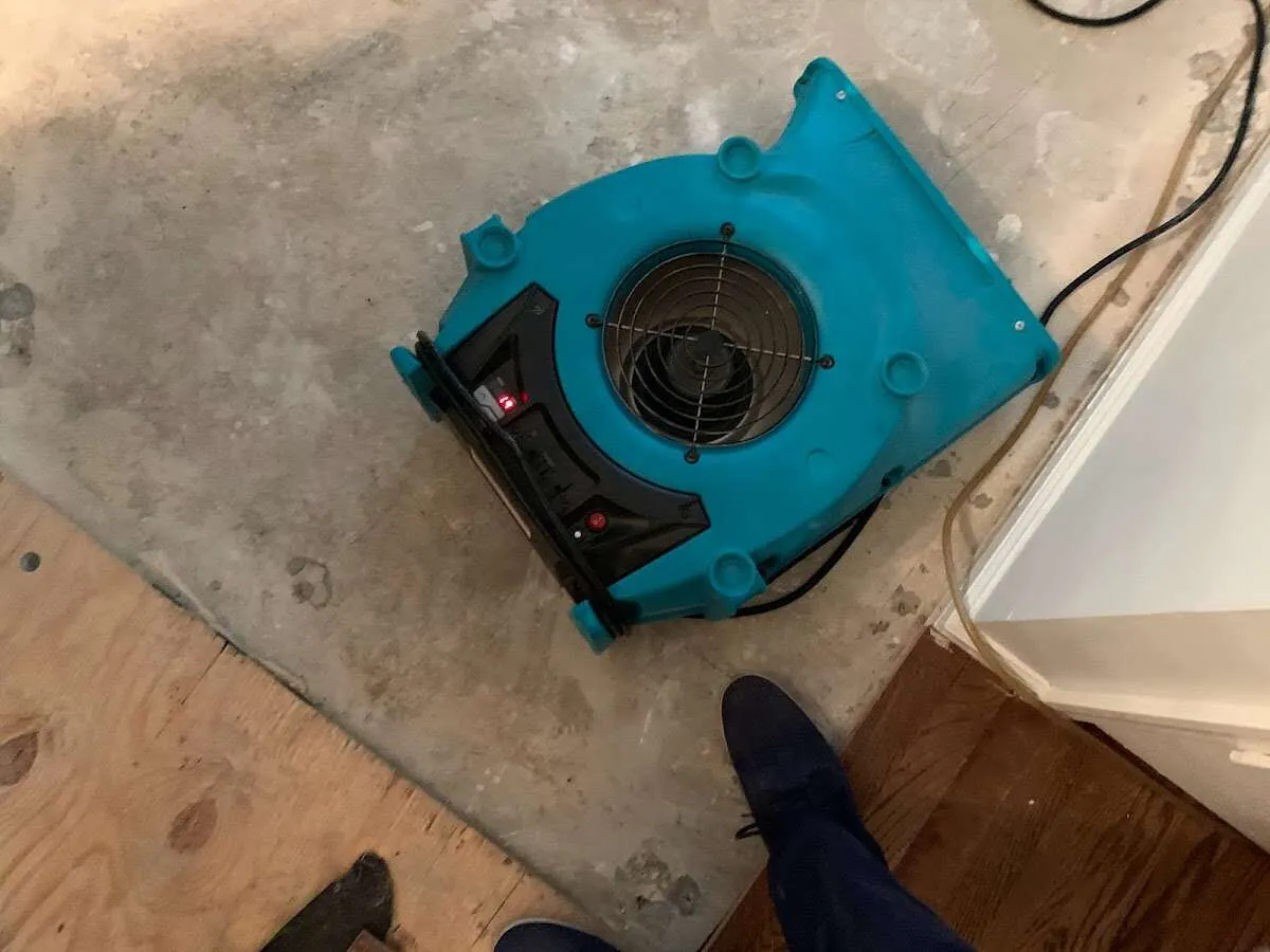 Air mover drying subfloor during Leak Detection & Repair in Litchfield